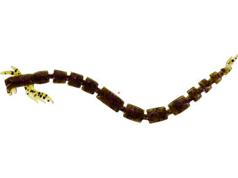 Guma Westin bloodteez 5,5cm green pumpkin purple p001-565-002