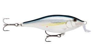 Wobler Rapala Shad Rap 5CM Bleak SSR05ALB