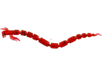 Guma Westin BloodTeez 5,5cm Bloodworm P001-311-002
